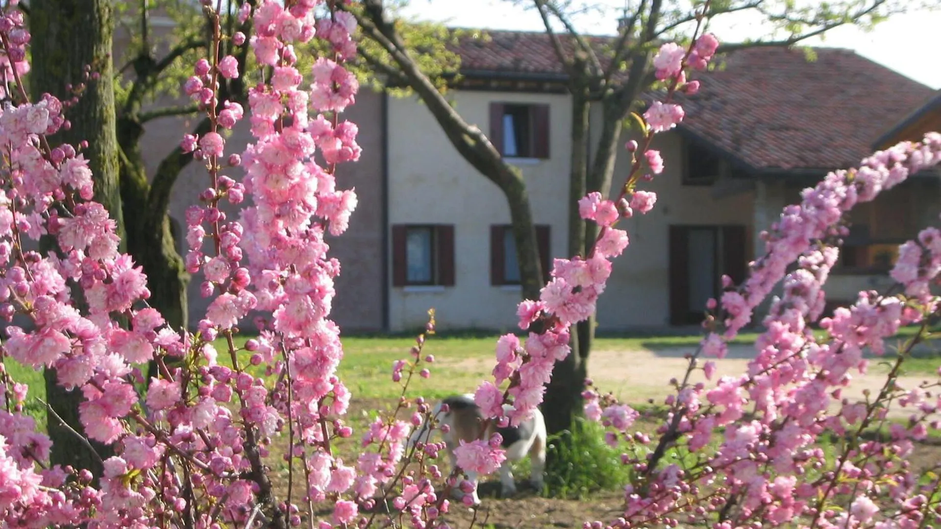 Apartment Terrace Apartment, Pool, Garden, Treviso Silea